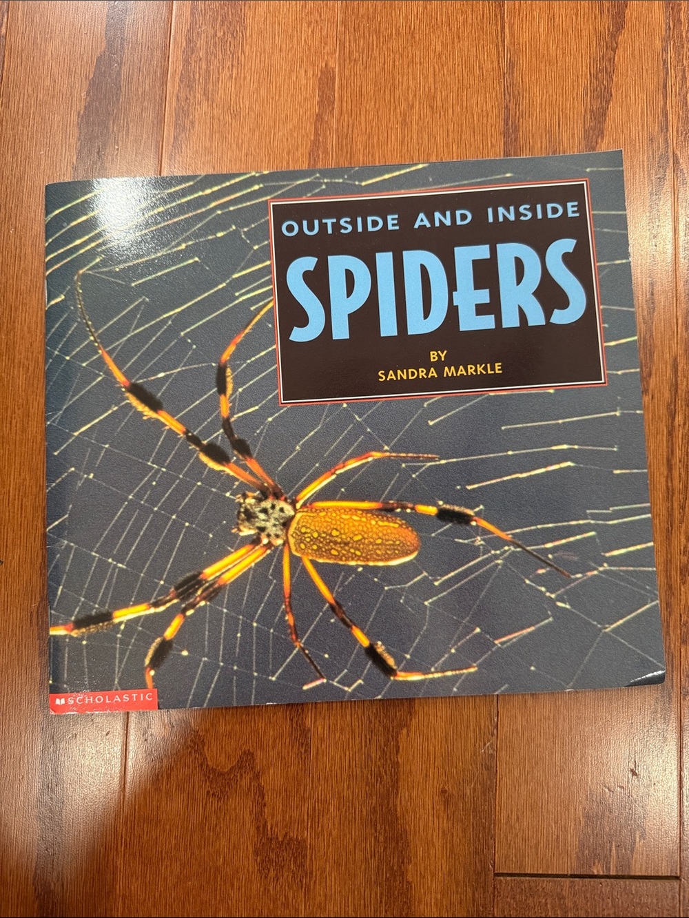 Vintage 1994 Outside and Inside Spiders Sandra Markle Scholastic Photo Book